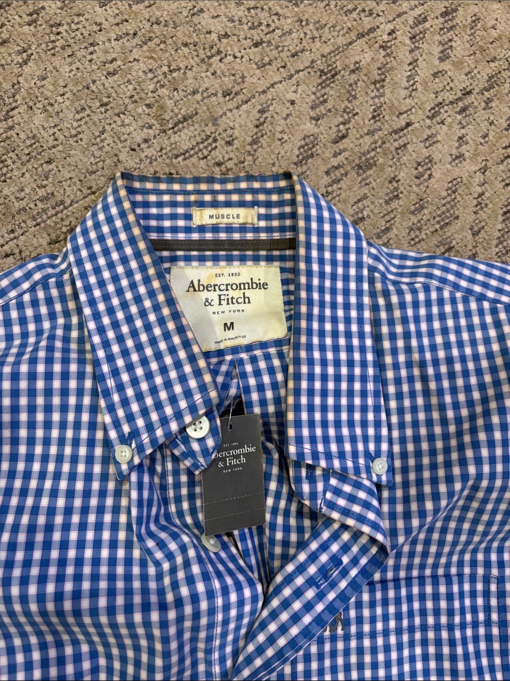 Abercrombie & Fitch Blue and White Gingham Button-Down Shirt